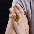 Tigerauge Ring - 33,26 ct. image number 2