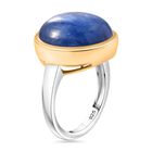 Kyanit Ring - 14,91 ct. image number 4