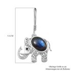 AAA Labradorit und schwarze Spinell-Ohrringe - 5,07 ct. image number 6