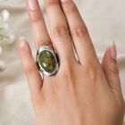 Unakite Ring - 18,01 ct. image number 2