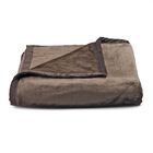 Premium Kuscheldecke aus 100% Mikrofaser, 450 gsm, Größe: 150x220 cm, beige image number 3