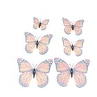 Set aus 42 bunten Schmetterlingsmagneten image number 5