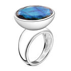 Labradorit Ring - 14,59 ct. image number 3