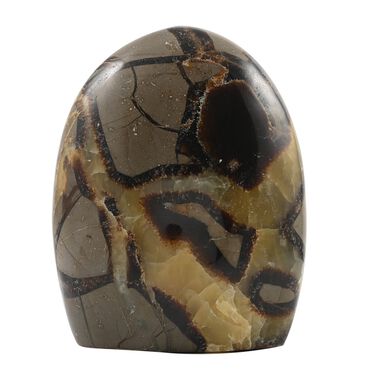 Gem Crystal Kollektion - Septarian - 1750 cts.