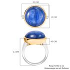 Kyanit Ring - 14,91 ct. image number 6